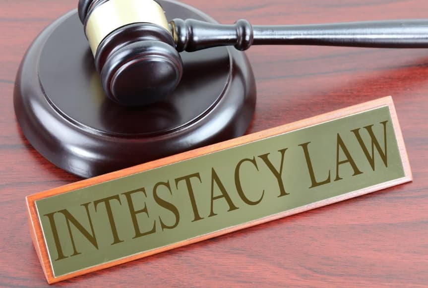Understanding the Laws of Intestacy which is depicted in the image as being in court