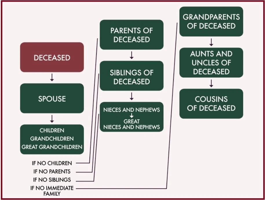 Intestate-Succession-Chart Intestate Succession Explained