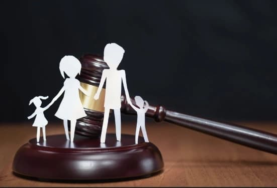 Guardianship-without-a-will The Process of a Court Appointed Legal Gurardian