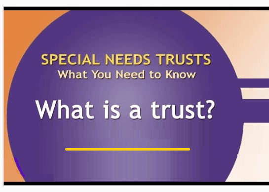 Special Needs Trust Overview Special Needs Trust graphic explaining what a trust is