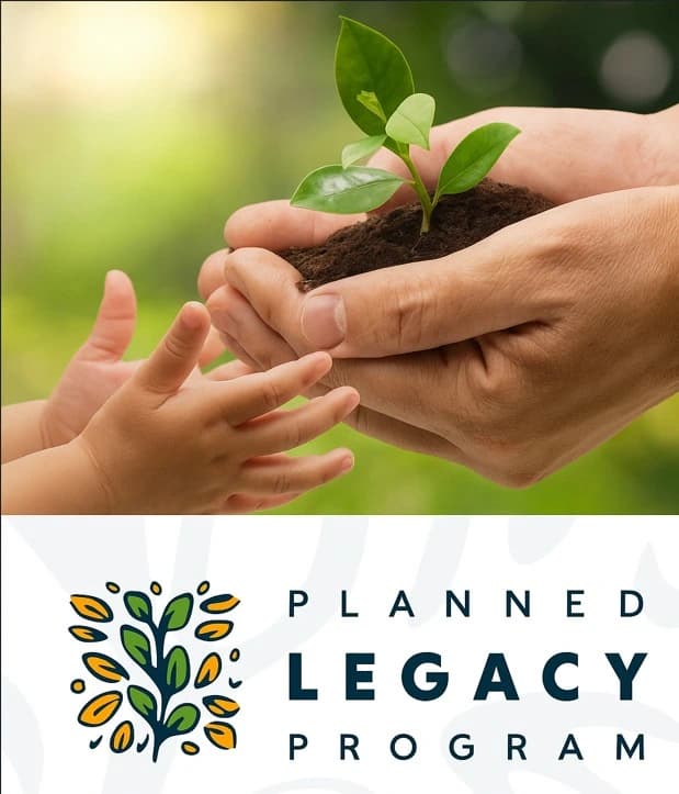 Planned Legacy Program – Building a Living Legacy Through Giving Hands passing a young green plant symbolizing growth and legacy above the Planned Legacy Program logo.
